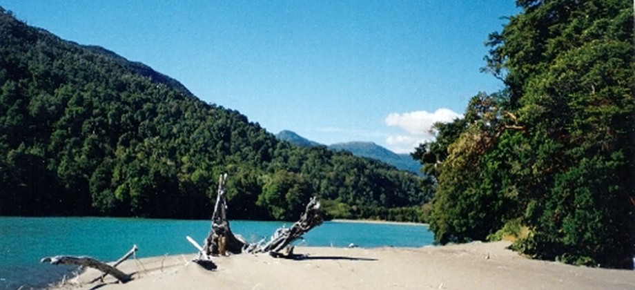 Fundo San Antonio Rio Palena Fundo San Antonio Rio Palena